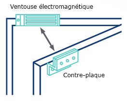 QIILU Signal Électronique, Protecteur de la Vie Privée, Détecteur